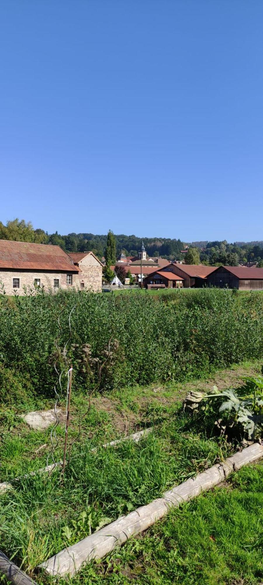 La Fontaine Aux Enfants - Gr5 - Chambre Avec Sdb Privee Abreschviller Exteriör bild